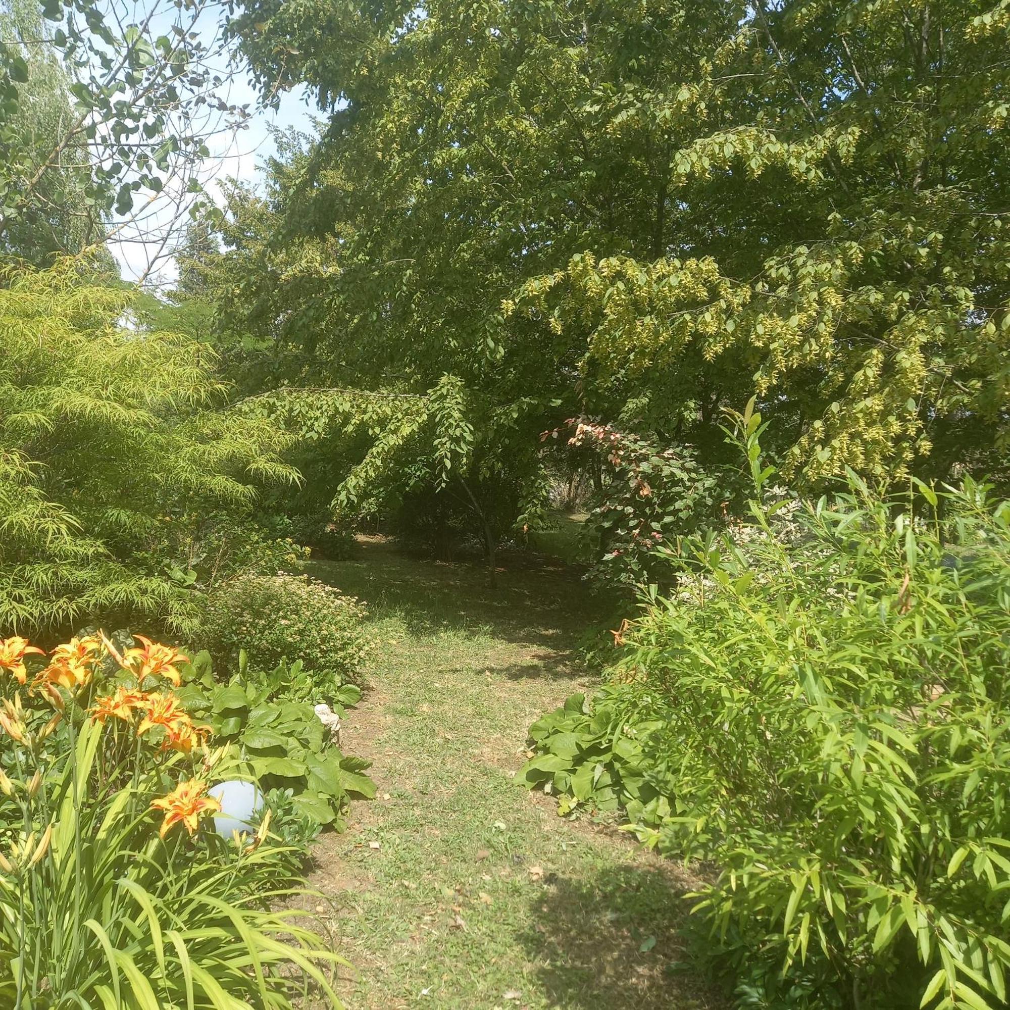 La Haie A Cerf Watronville Zimmer foto