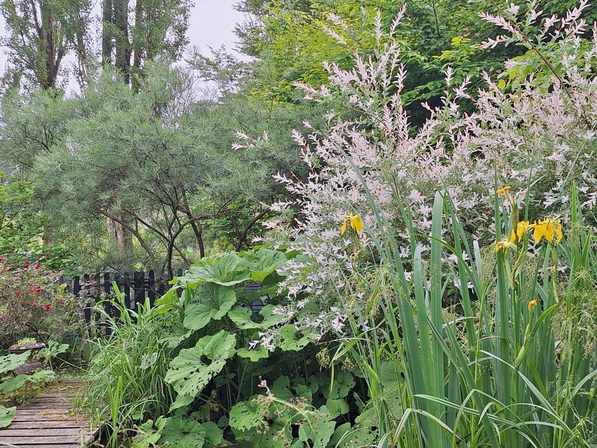 La Haie A Cerf Watronville Zimmer foto